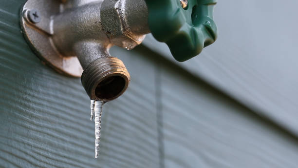 Best Clogged Drain Plumber  in Lambertville, NJ