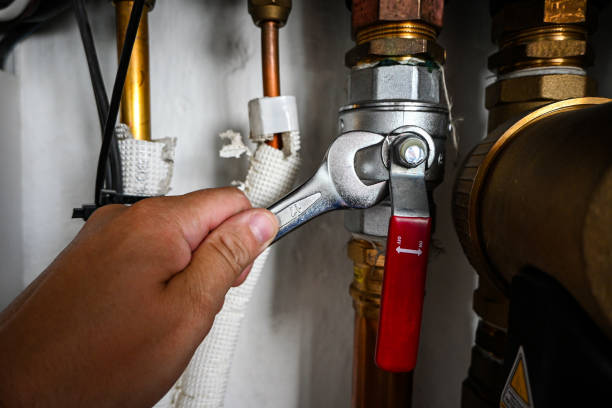 Best Plumbing Services Near Me  in Lambertville, NJ
